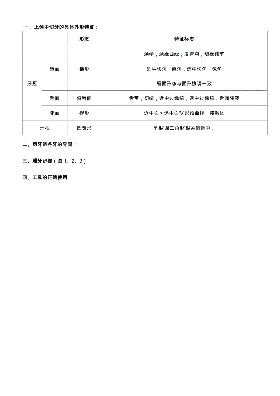 上颌中切牙的雕刻_第3页