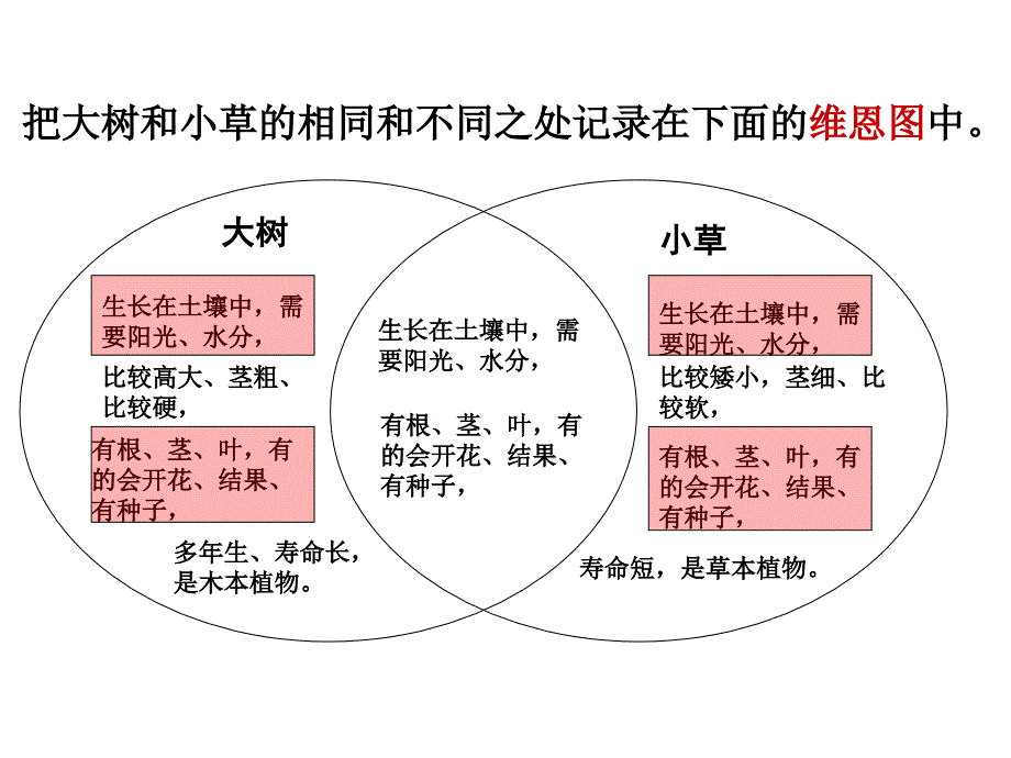 三年级上科学课件-水生植物_教科版_第1页