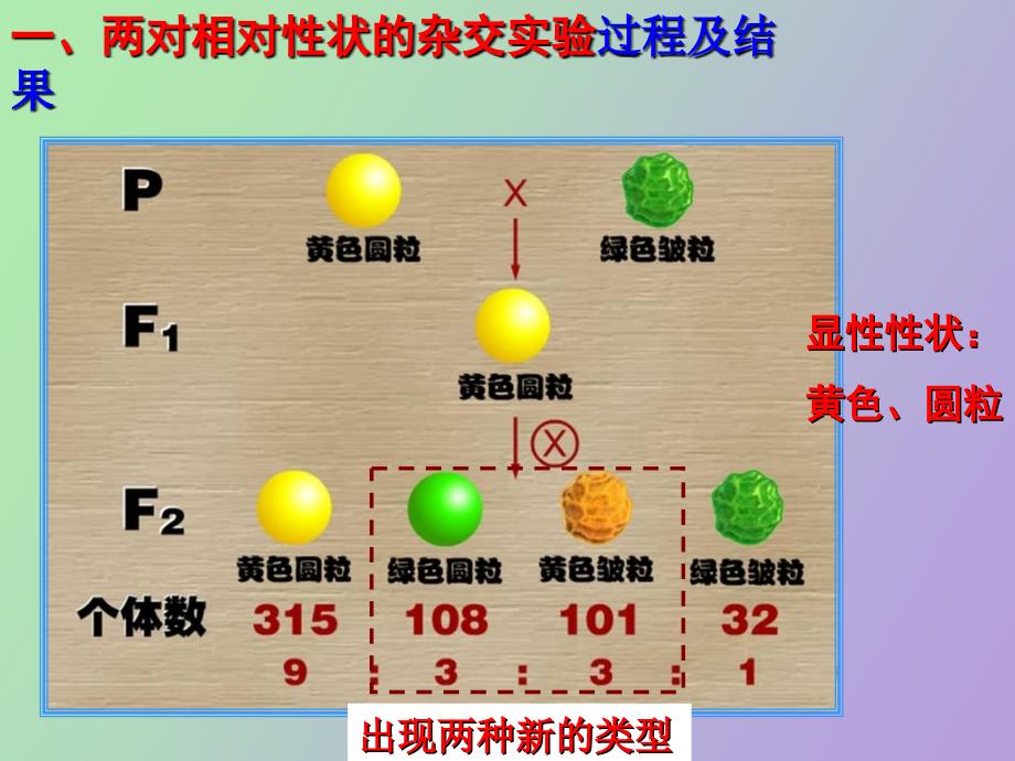 生物基因的自由组合定律课件上课用_第2页