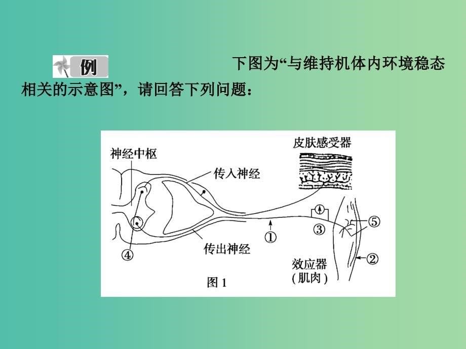 高考生物大一轮复习 阶段整合提升课件1 新人教版必修3.ppt_第5页