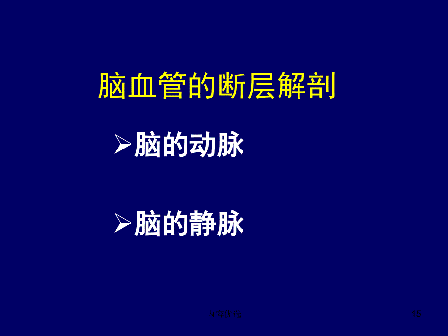 大脑前中后动脉血管分布图严选内容_第2页