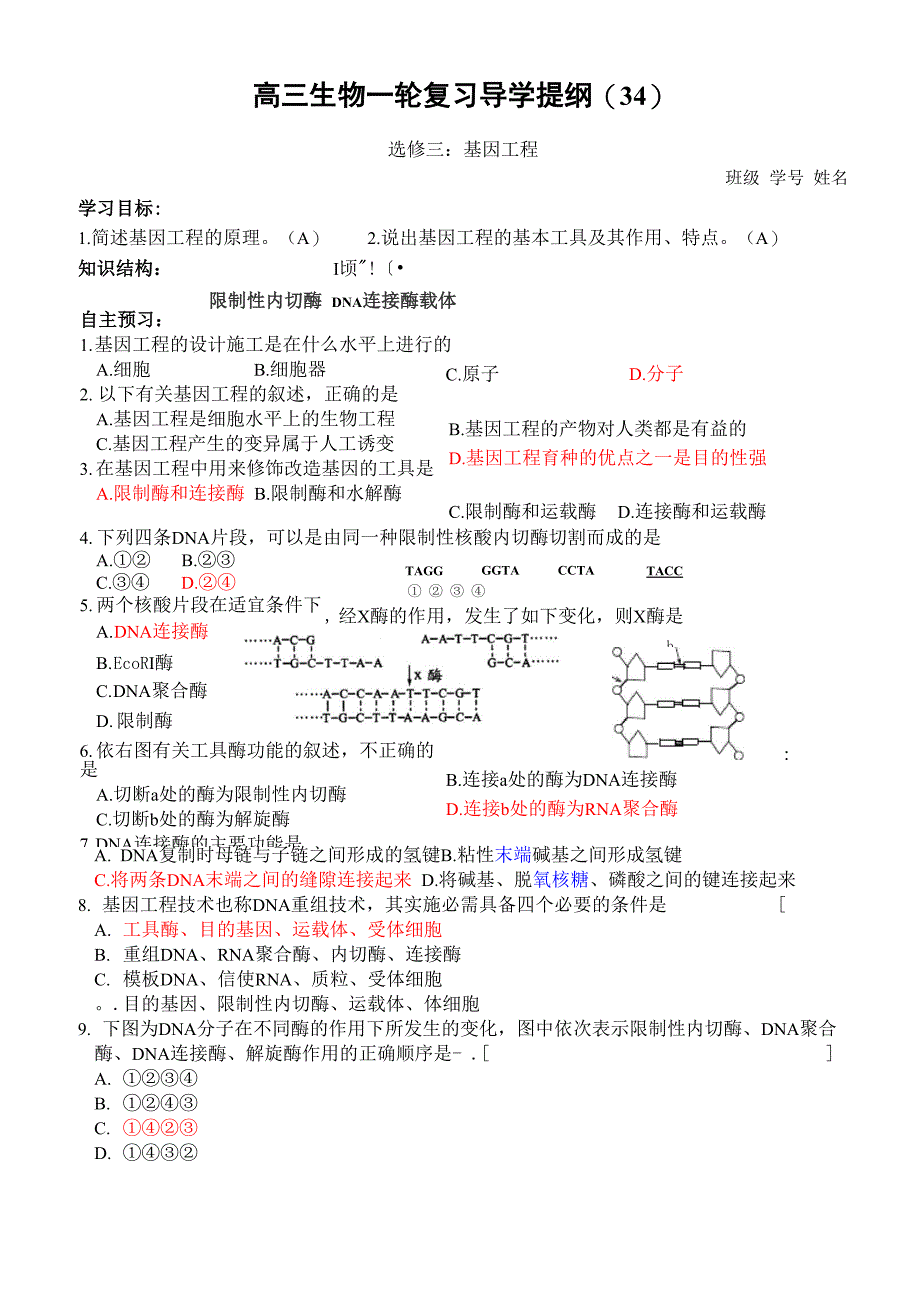 基因工程的工具_第1页