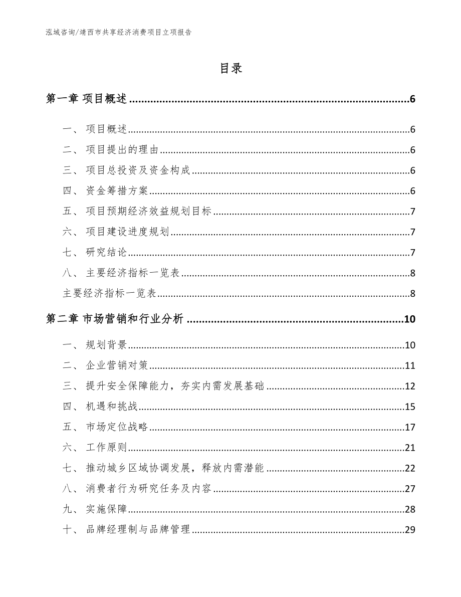 靖西市共享经济消费项目立项报告_第2页