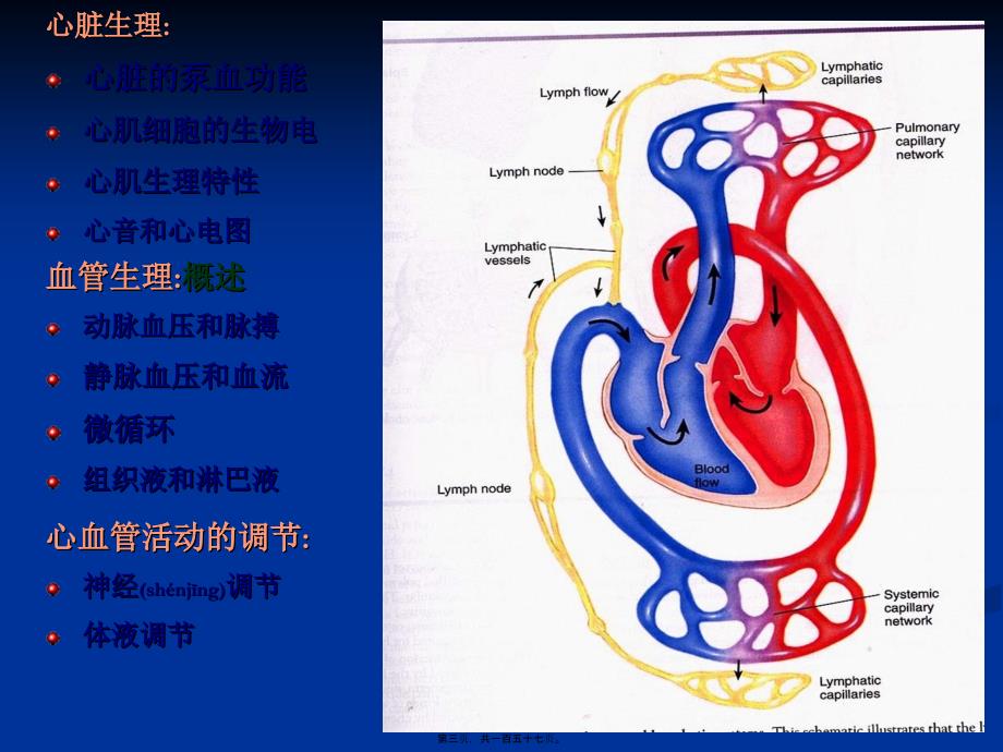 医学专题—第四篇-血液循环5752_第3页