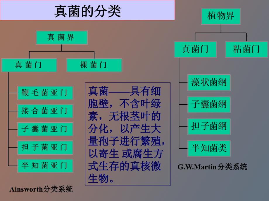 真核微生物的形态构造_第4页