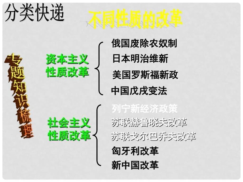 中考历史历史考点、知识点大总结课件13_第5页