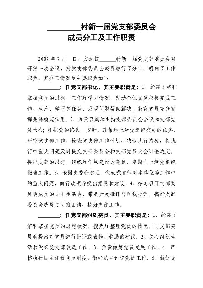村新一届党支部委员会成员分工及工作职责
