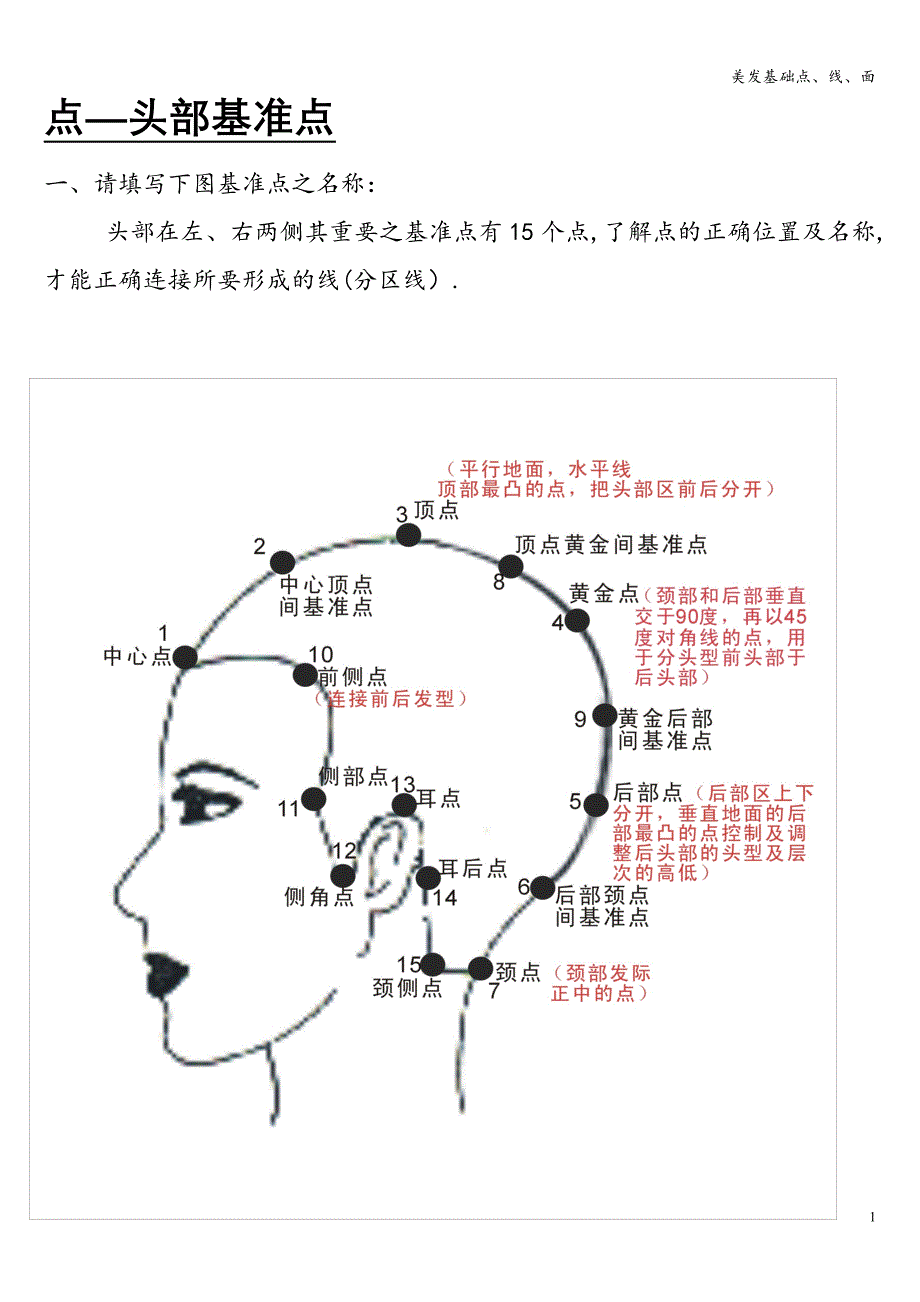 美发基础点、线、面.doc_第1页