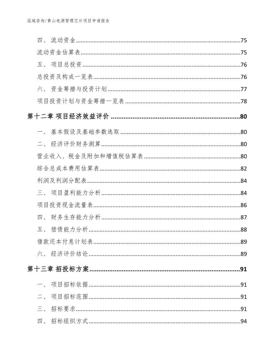 黄山电源管理芯片项目申请报告_范文参考_第5页