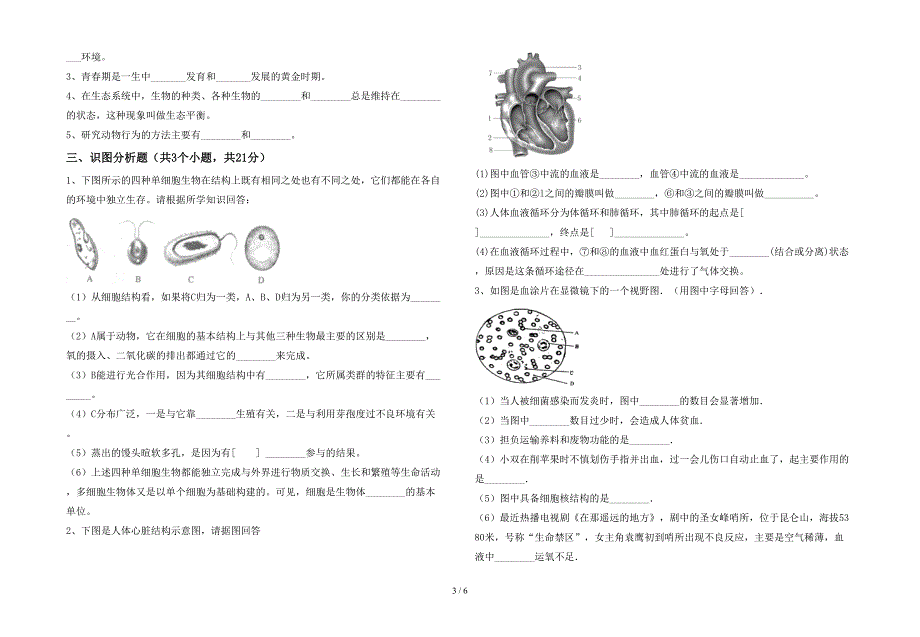 2023年七年级生物(上册)期末检测及答案.doc_第3页