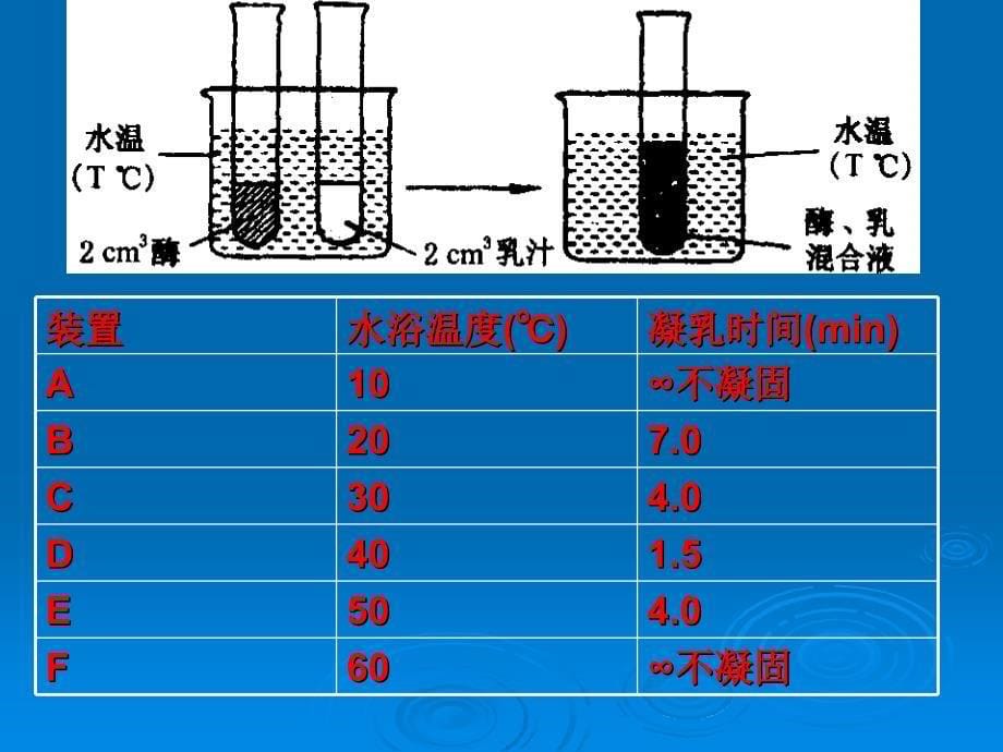 1（2000年生物高考上海卷_第5页