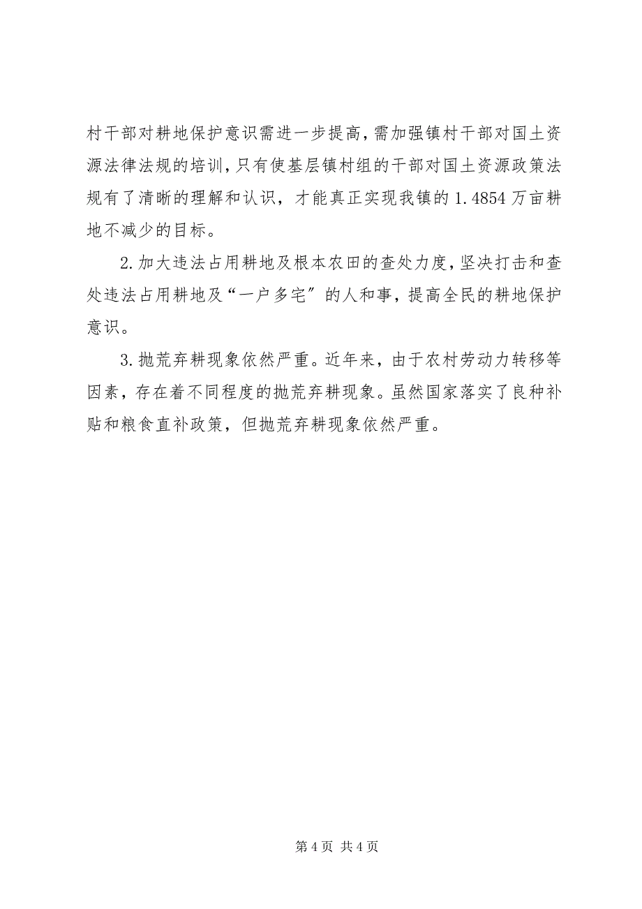 2023年乡镇年度基本农田保护工作总结.docx_第4页