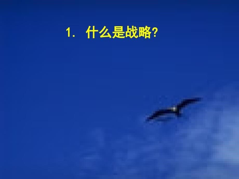 [企业管理]11817490866战略管理_第5页