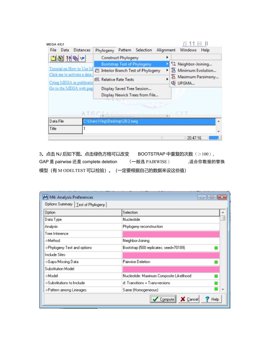 进化树分析软件MEGA的用法_第2页