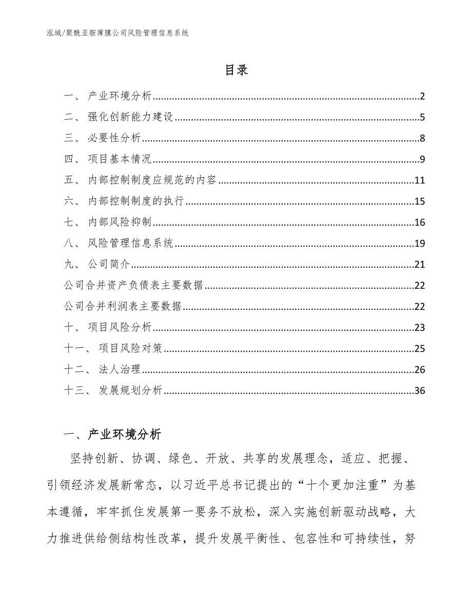 聚酰亚胺薄膜公司风险管理信息系统_参考_第2页