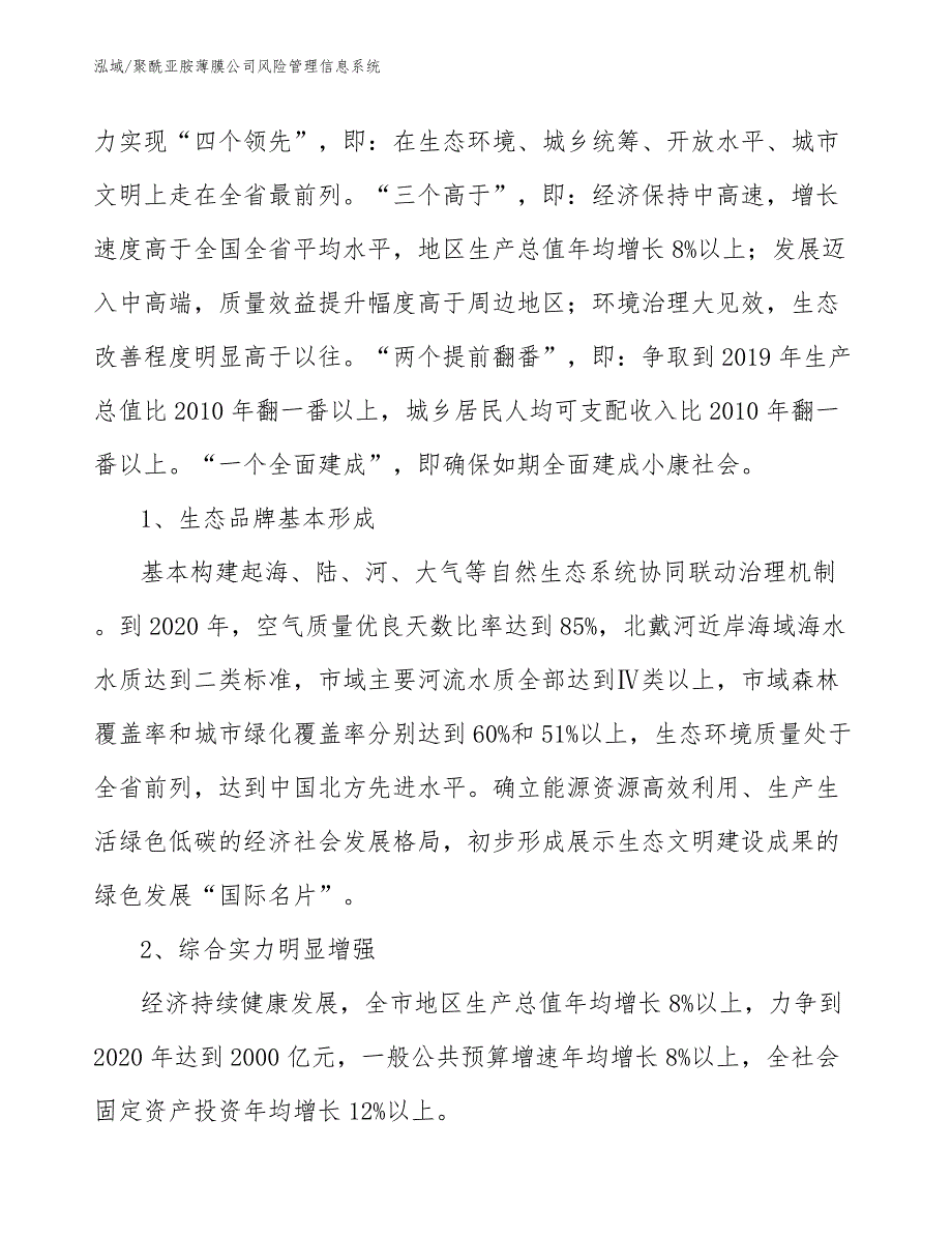 聚酰亚胺薄膜公司风险管理信息系统_参考_第3页