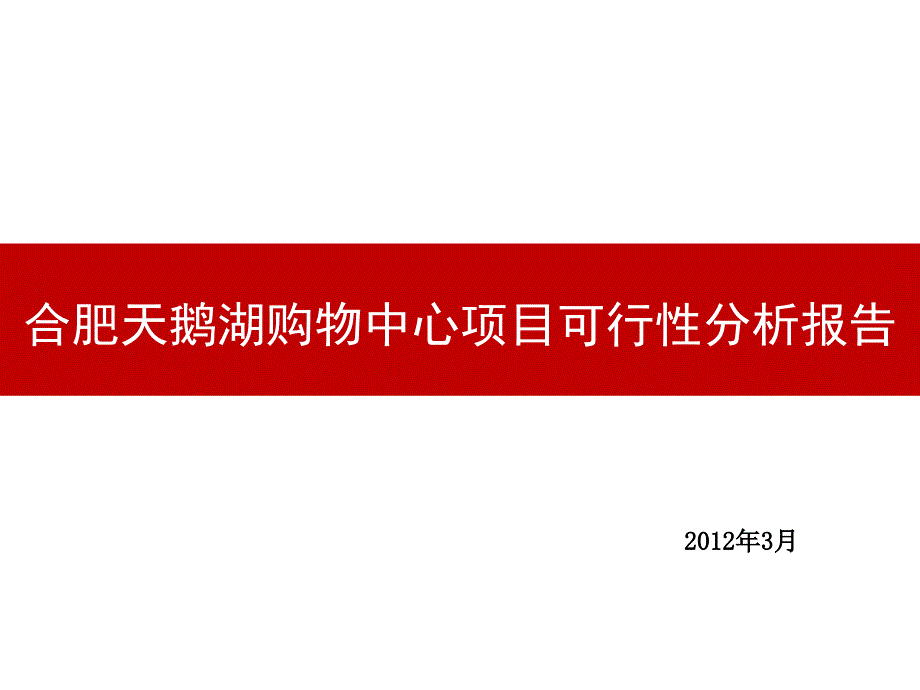 合肥天鹅湖购物中心项目可行性研究报告_第1页