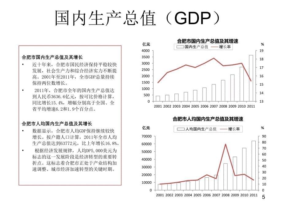 合肥天鹅湖购物中心项目可行性研究报告_第5页