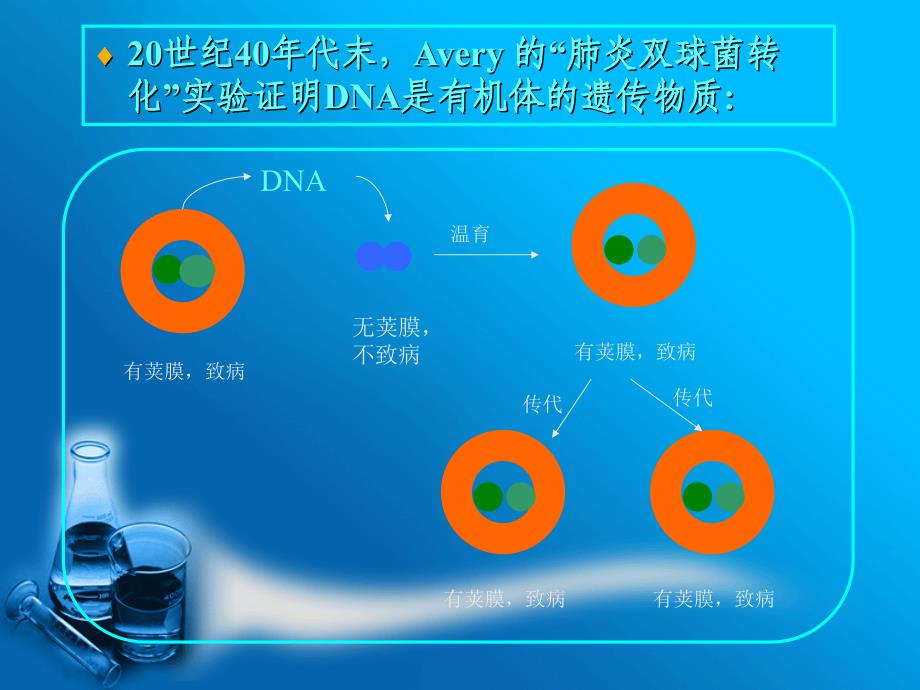 《生物化学》 第2章 核酸的化学_第4页