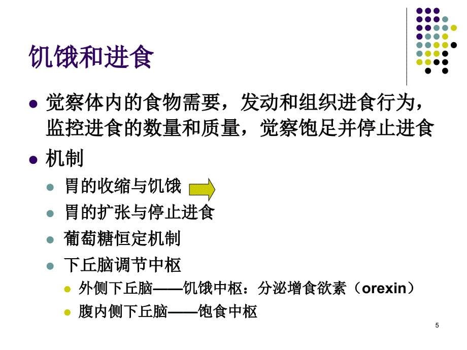 基础心理学第章动机课件_第5页