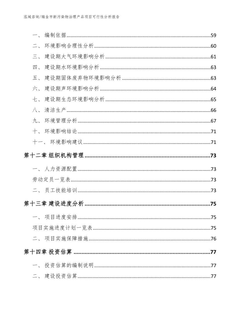 瑞金市新污染物治理产品项目可行性分析报告（范文模板）_第5页