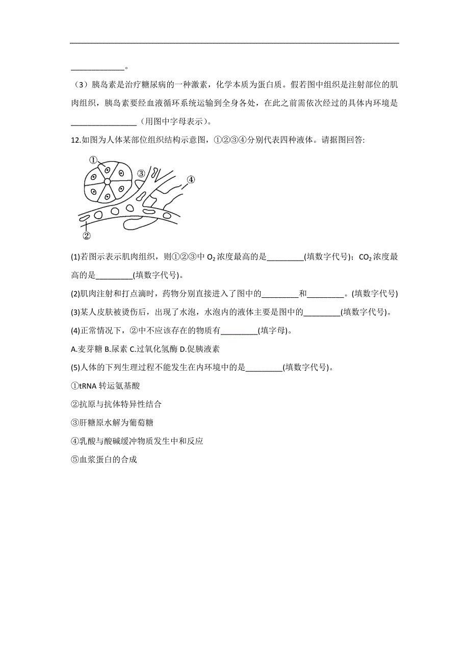 1.1内环境的稳态— 高二生物北师大版（2019）选择性必修1同步练习.doc_第4页