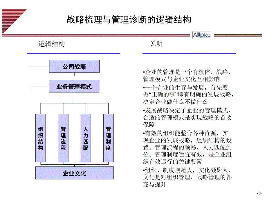 战略梳理与管理诊断报告_第3页