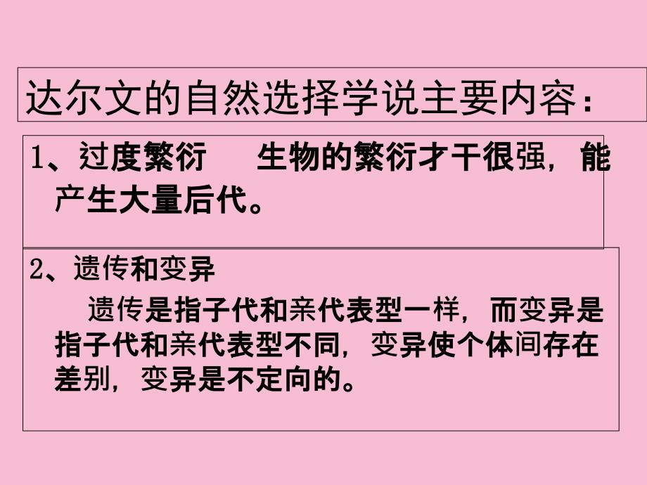 必修二现代生物进化理论高三复习ppt课件_第3页