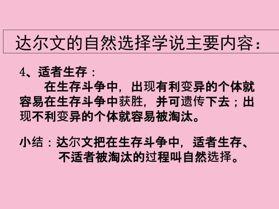 必修二现代生物进化理论高三复习ppt课件_第5页