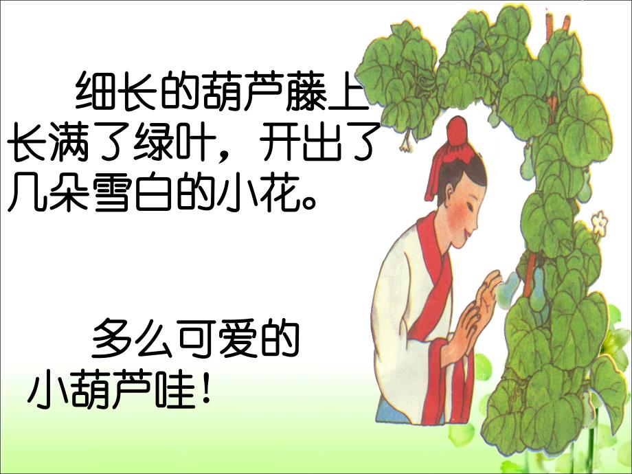 《我要的是葫芦》参考课件_第3页