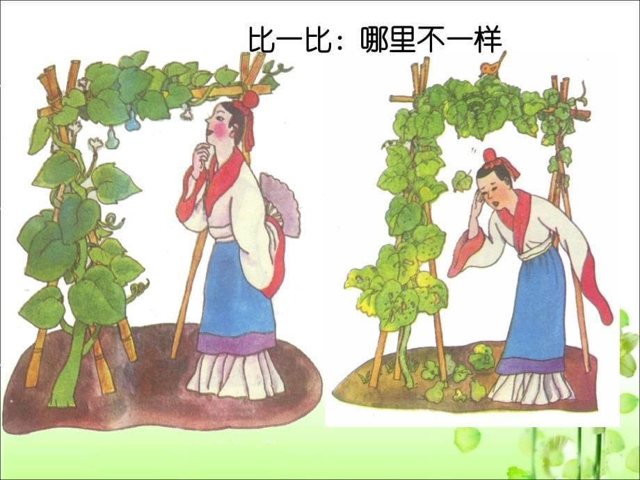 《我要的是葫芦》参考课件_第5页