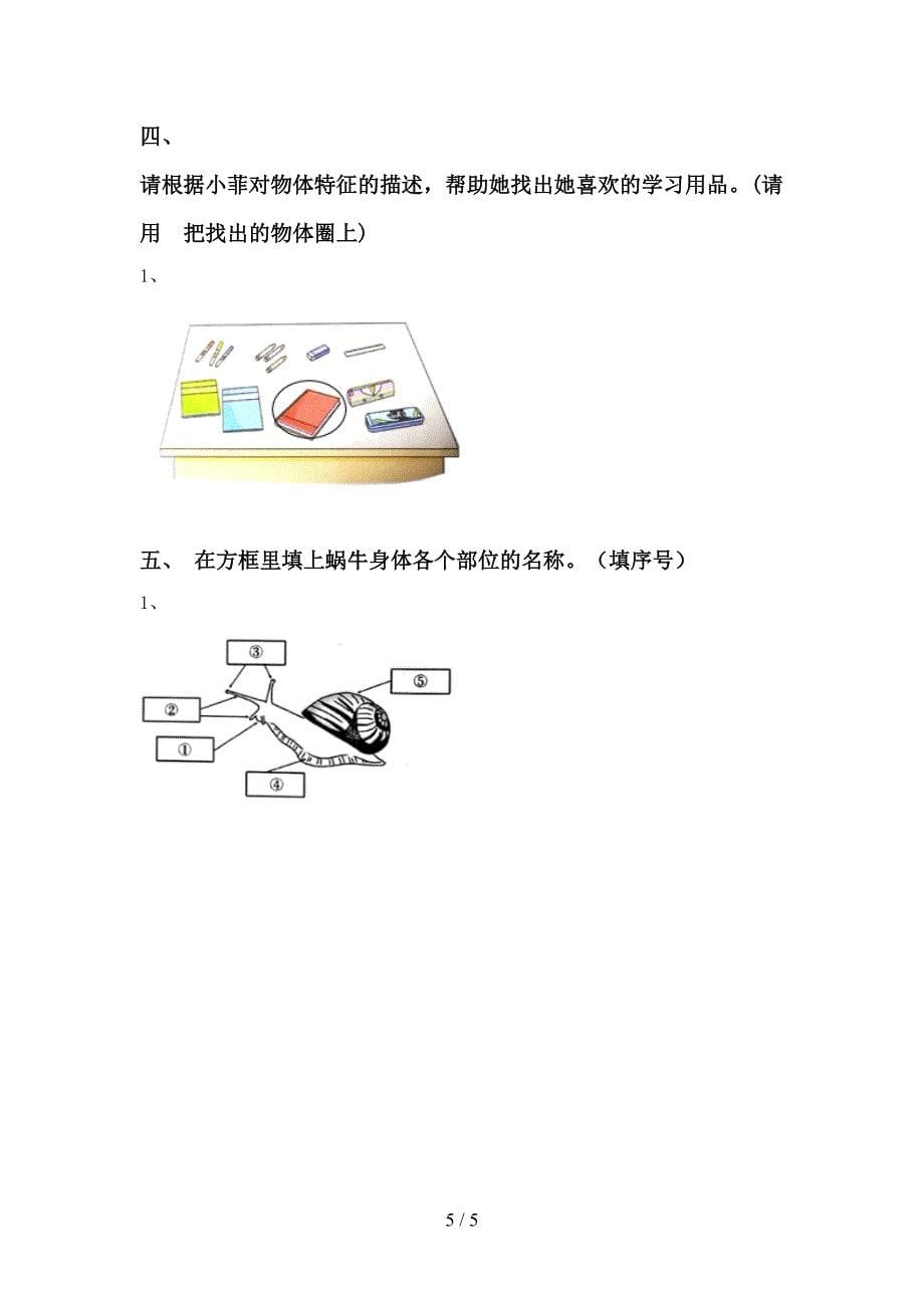 教科版一年级科学(上册)期中试卷(带答案).doc_第5页