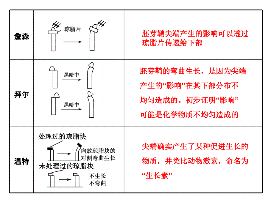 30植物的激素调节_第4页