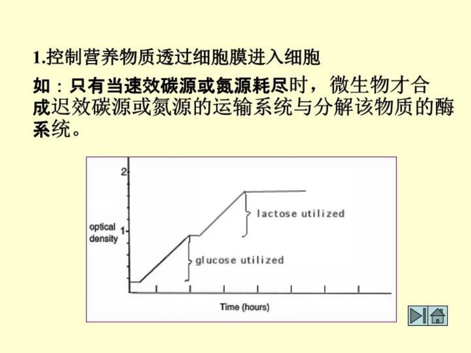 最新四节微生物代谢调控与发酵生产精品课件_第4页