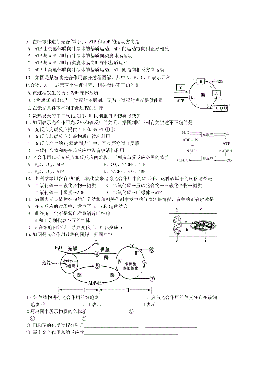 高二生物随堂练习——光合作用.doc_第2页