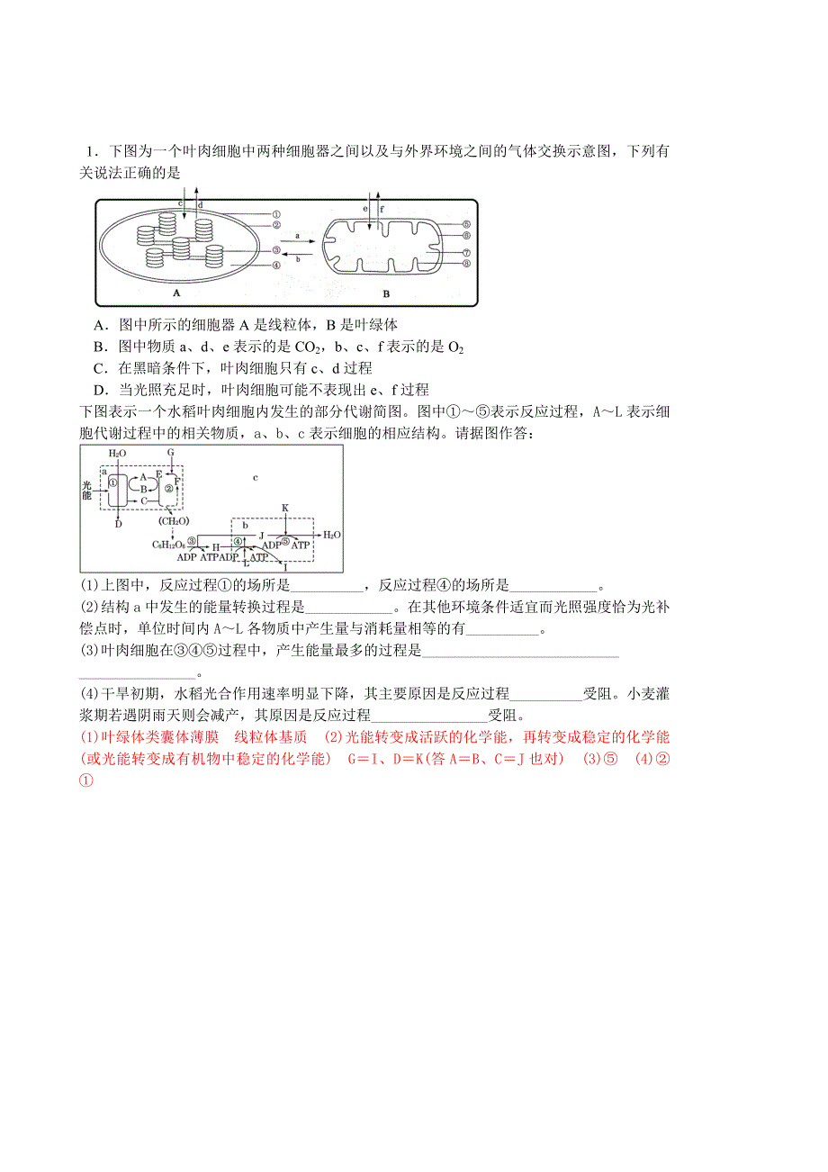 高二生物随堂练习——光合作用.doc_第3页