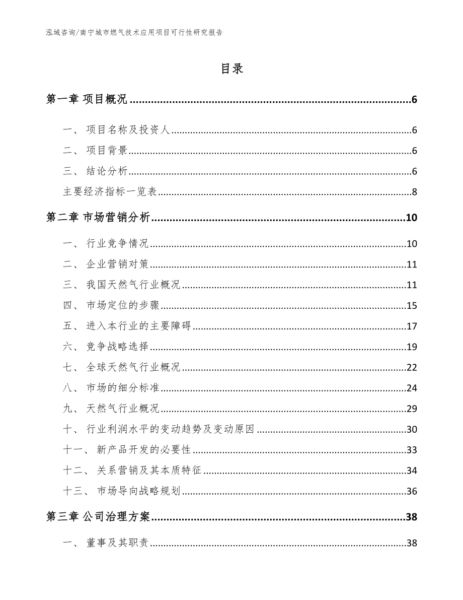 南宁城市燃气技术应用项目可行性研究报告【范文】_第1页