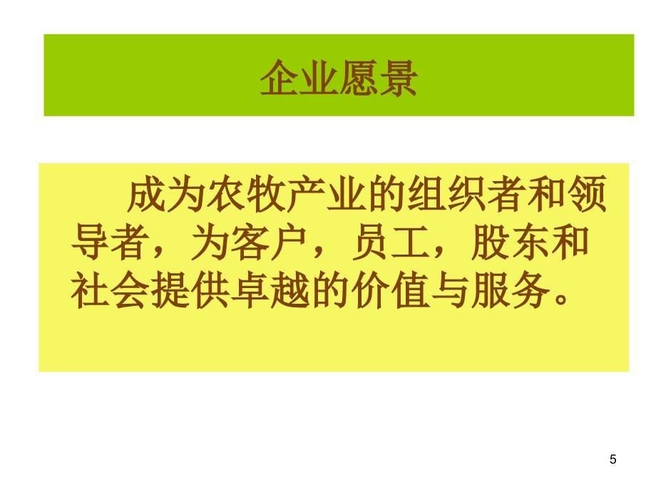 XXXX项城经营战略与管理预备会议_第5页