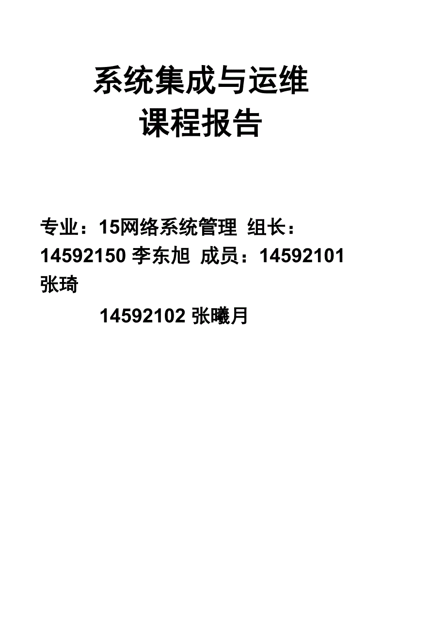 系统集成与运维报告_第1页