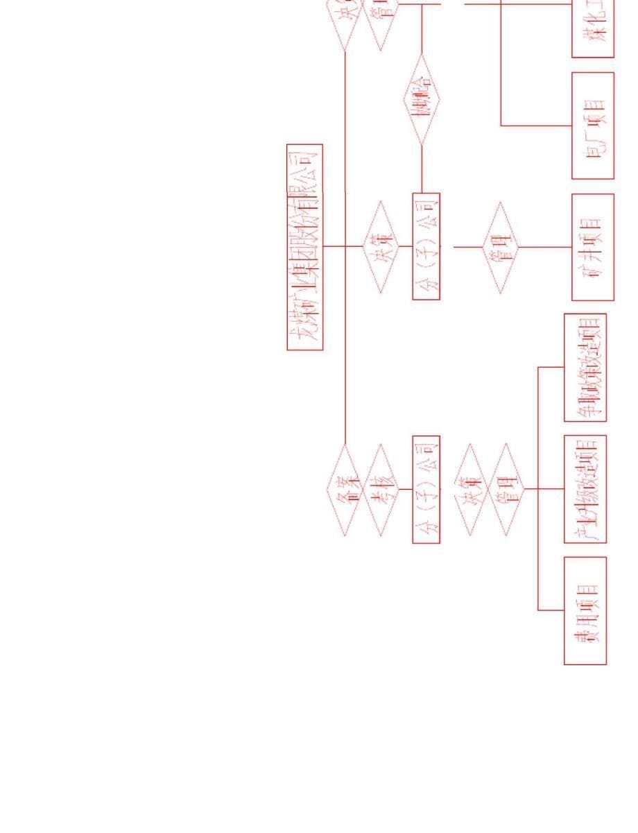 项目决策程序_第5页