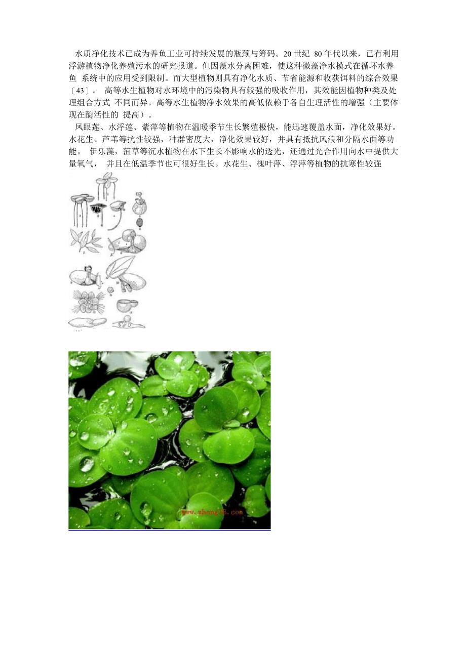 水生植物对水质的改善_第4页