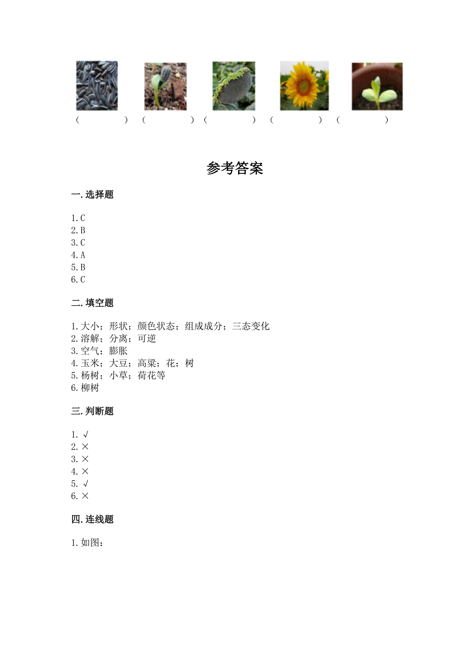 教科版科学一年级上册第一单元《植物》测试卷(名校卷).docx_第5页