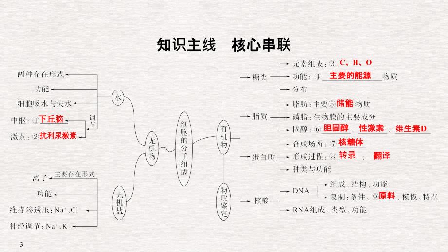 高考生物二轮课件：专题一　细胞的分子基础及相关调节_第3页