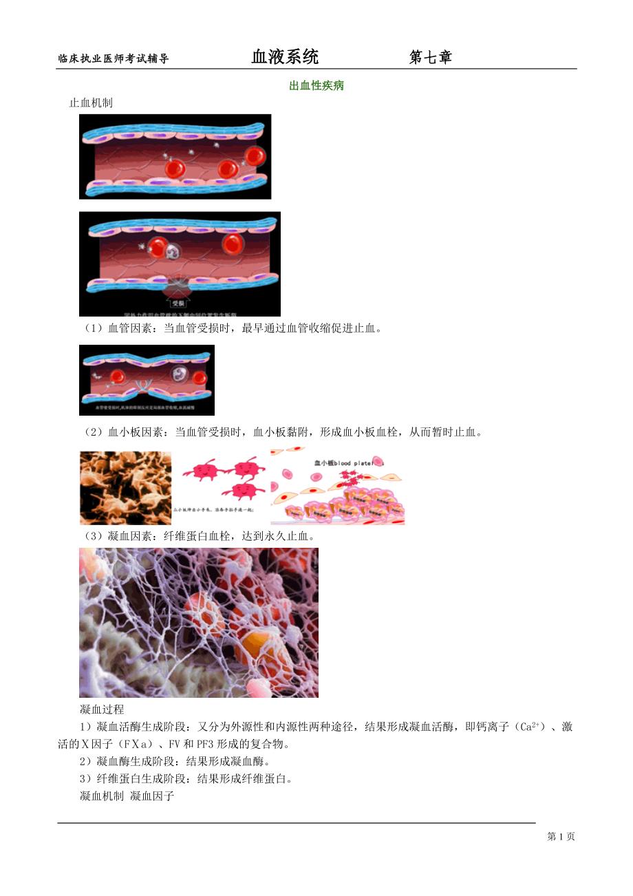 血液系统xyxt_jy0701.doc_第1页