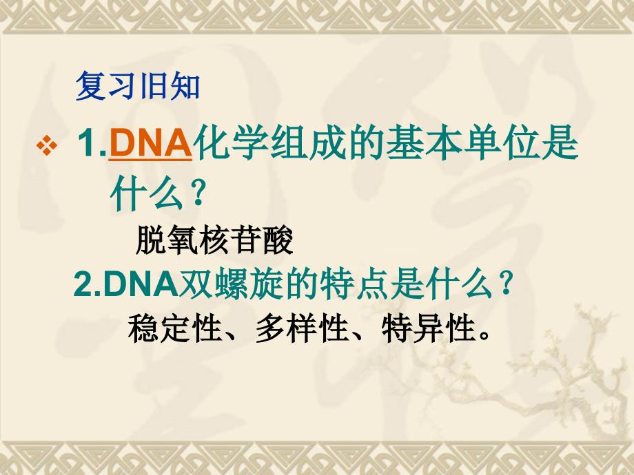 DNA的复制ppt课件_第2页