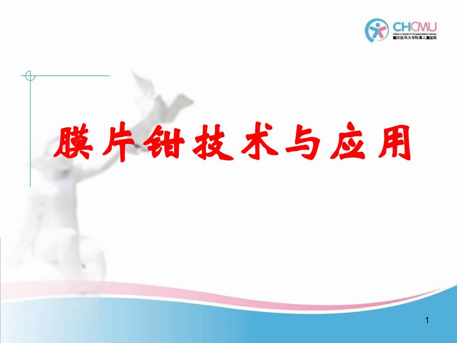 膜片钳技术及其应用_第1页