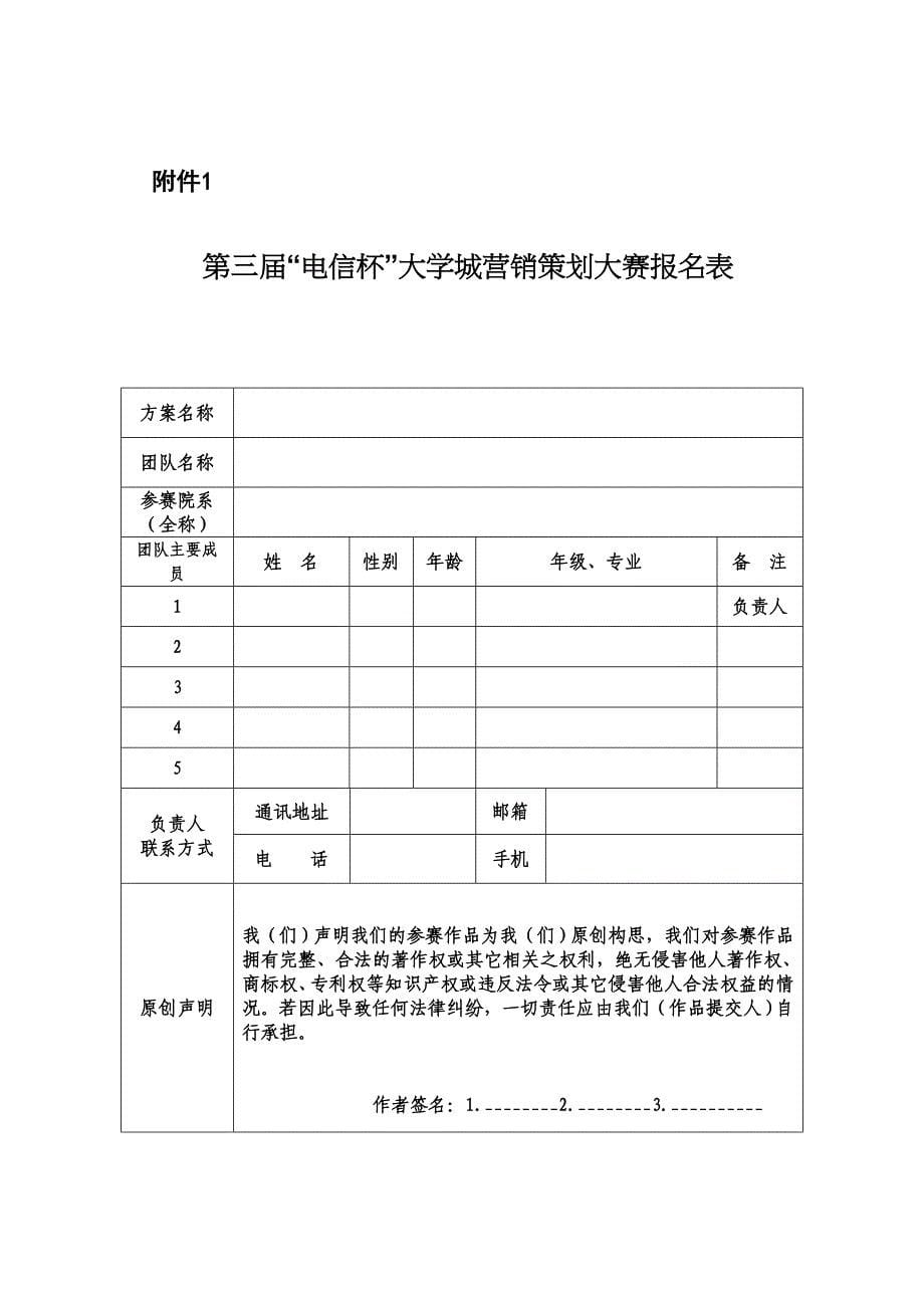 第二届电信杯营销策划大赛策划书_第5页