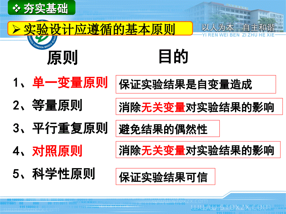 [实验专题]实验设计与突破——东厦中学林金哲_第3页