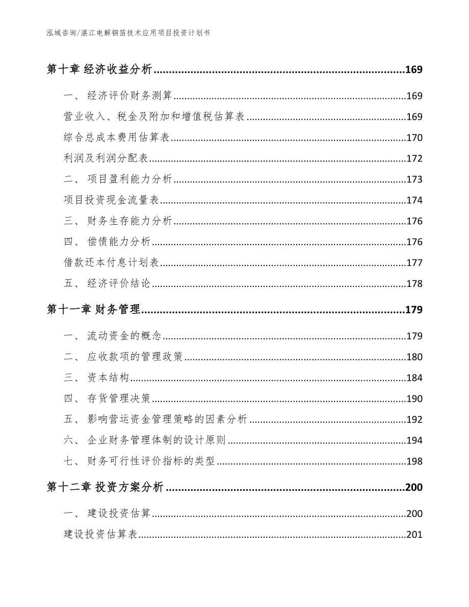 湛江电解铜箔技术应用项目投资计划书【范文参考】_第5页