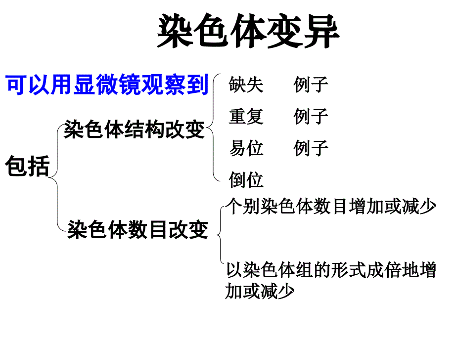 人教版教学课件第二节染色体变异课件_第2页